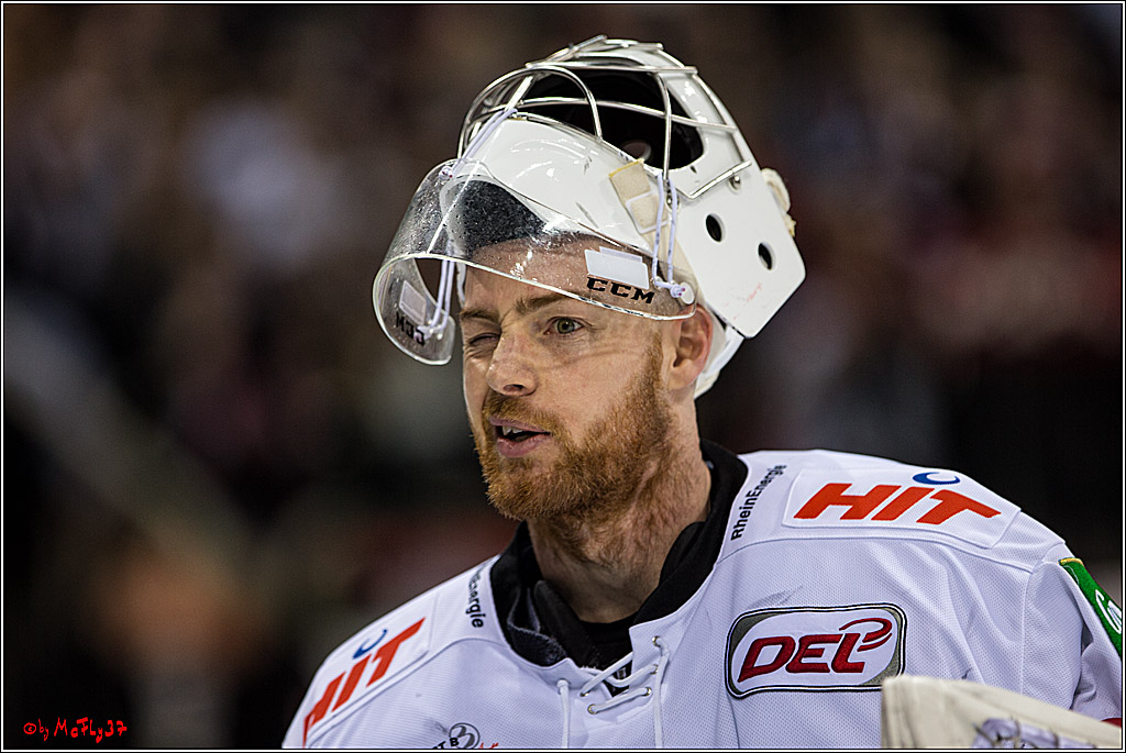 DEL, Koelner Haie - Duesseldorfer EGY, 22.01.2017